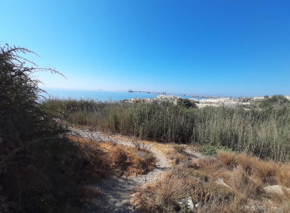 Land in mari, Cyprus [ID: 0602-233538]