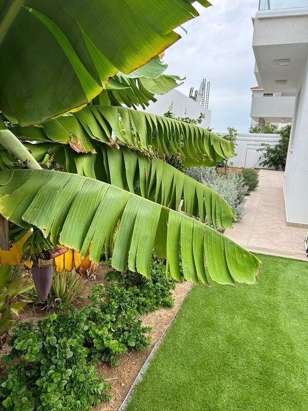houses w oroklini, Cypr, 230.00m² - obraz 22