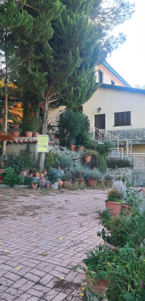 houses в pelendri, Кіпр, 240.00м²