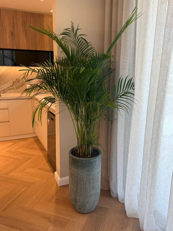 Apartment in potamos-germasogeias, Cyprus, 114.00m² - image 16