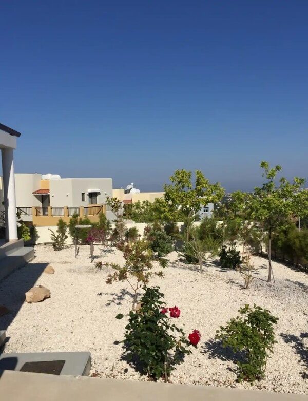houses w konia, Cypr - obraz 3
