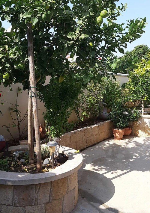 houses в apostolos-andreas, Кіпр, 106.00м² - зображення 6
