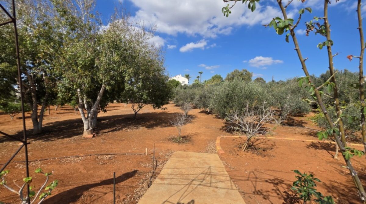 houses z 6 sypialniami w agia-napa, Cypr [ID: 0602-240997]