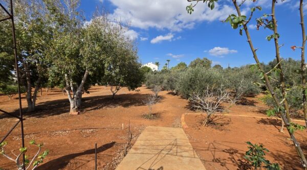 houses в agia-napa, Кипр - изображение 26