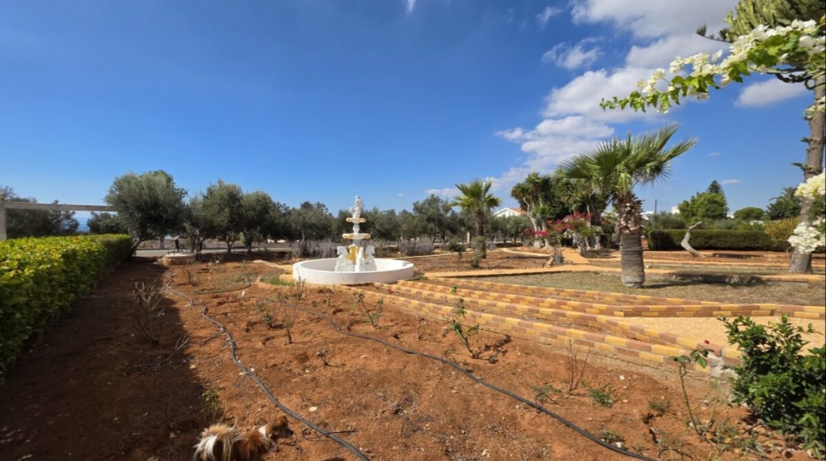 houses z 6 sypialniami w agia-napa, Cypr [ID: 0602-240997]