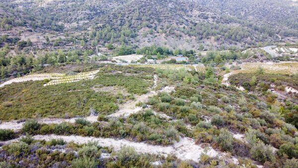 Land in agios-mamas, Cyprus - image 3