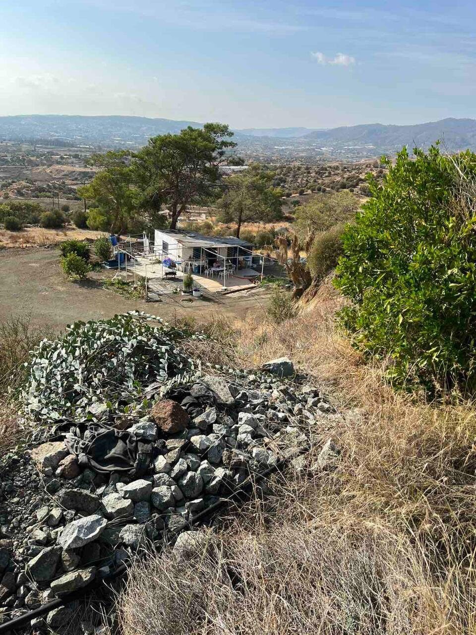 Земля в monagroulli, Кипр [ID: 0602-241502]