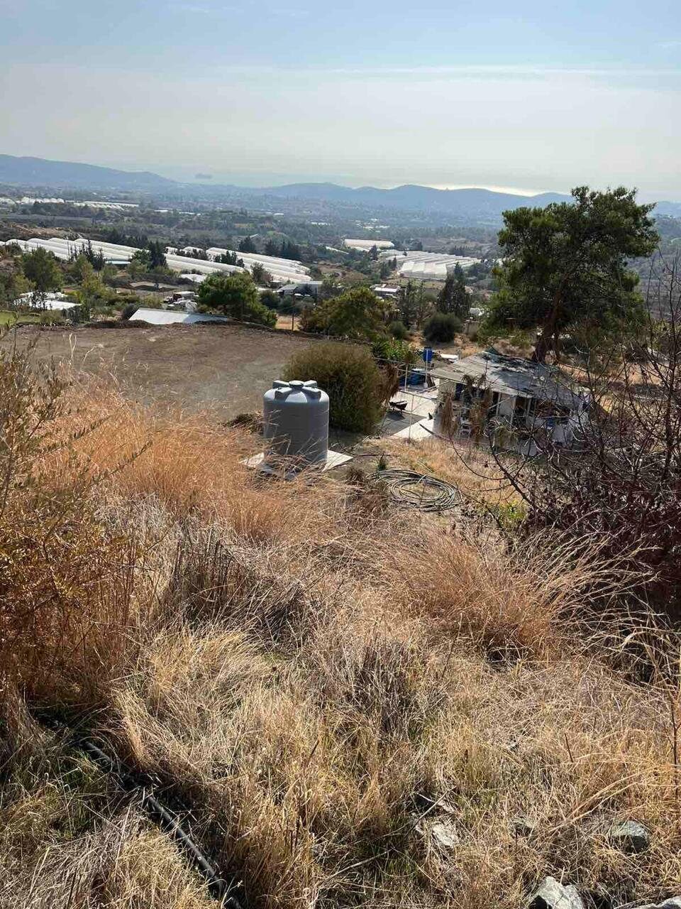 Земля в monagroulli, Кипр [ID: 0602-241502]