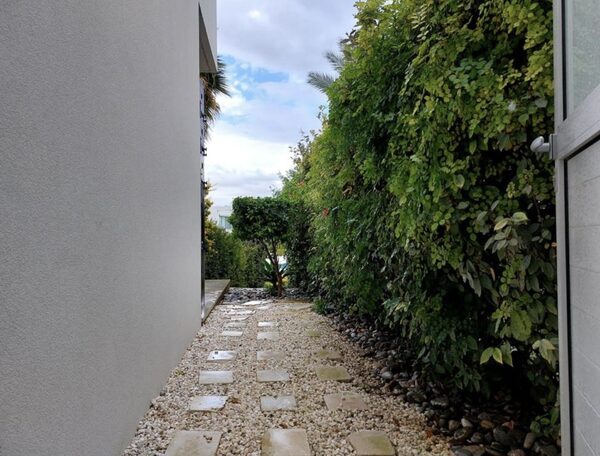 houses in pegeia, Cyprus, 166.00m² - image 3