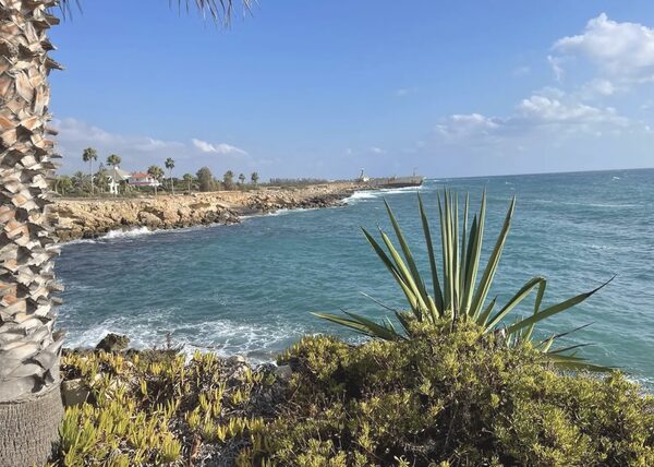 Villa in pegeia, Cyprus, 270.00m² - image 7