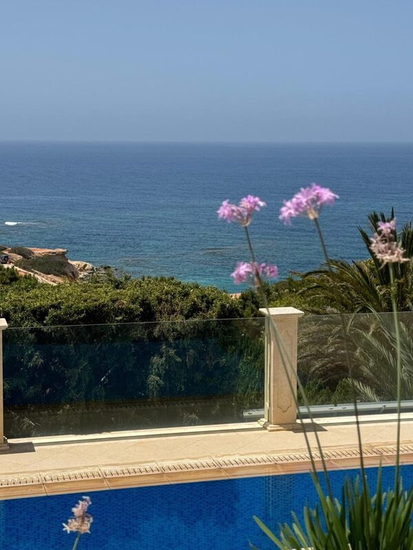 Villa in pegeia, Cyprus - image 23