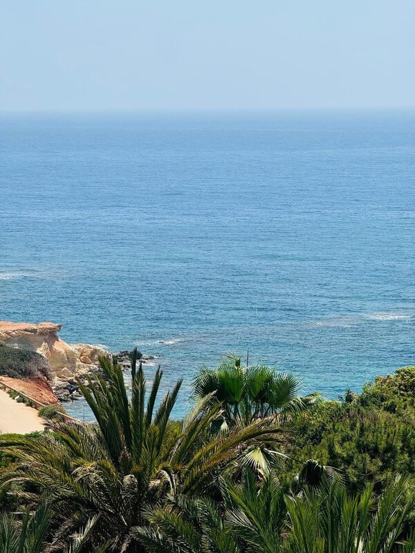 Villa in pegeia, Cyprus - image 24