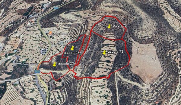 Land in fasoula, Cyprus