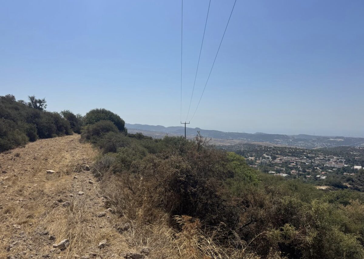 Земля в apesia, Кипр [ID: 0602-243477]