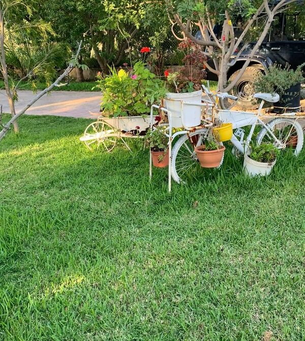 houses w agios-theodoros, Cypr, 904.00m² - obraz 13