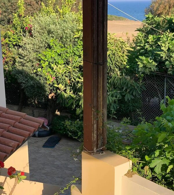 houses w agios-theodoros, Cypr, 904.00m² - obraz 17
