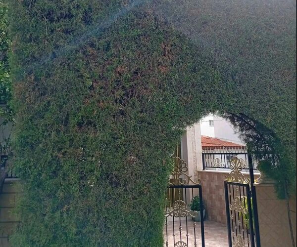houses w zakaki, Cypr, 362.00m² - obraz 11