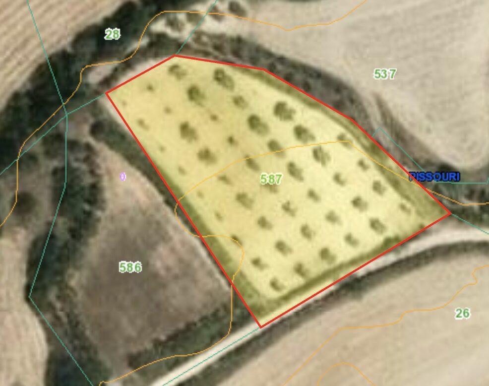Земля в pissouri, Кіпр [ID: 0602-243891]