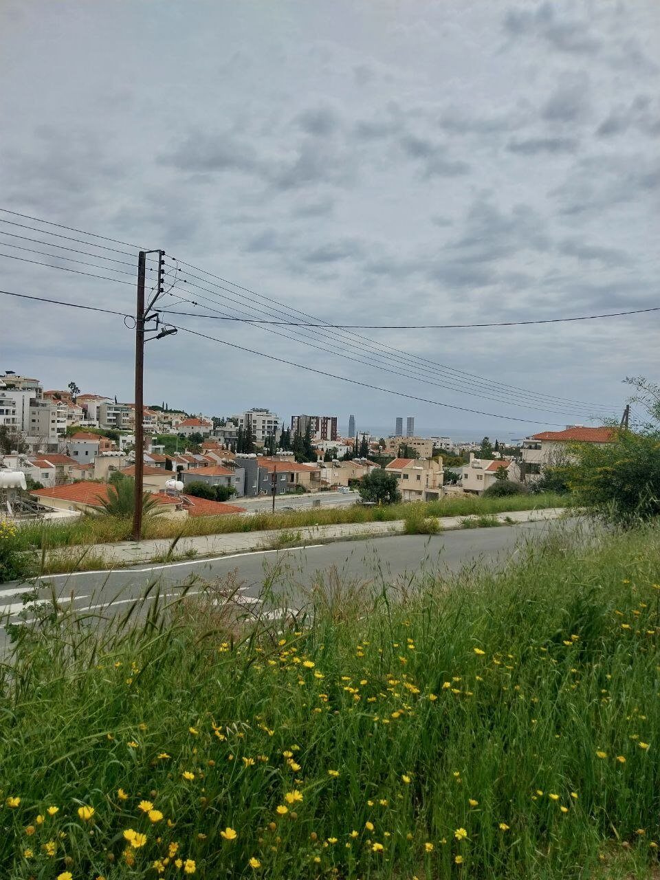 Земля в erimi, Кипр [ID: 0602-243950]