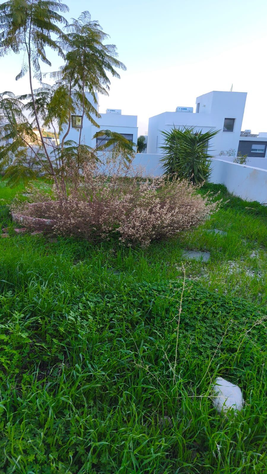 Willa z 3 sypialniami, 176.00m² w agios-athanasios, Cypr [ID: 0602-244265]