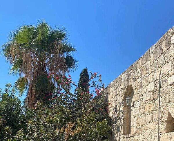 houses w germasogeia, Cypr - obraz 9