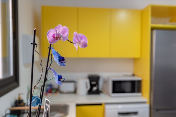 Przestrzeń komercyjna w agia-triada, Cypr - obraz 11