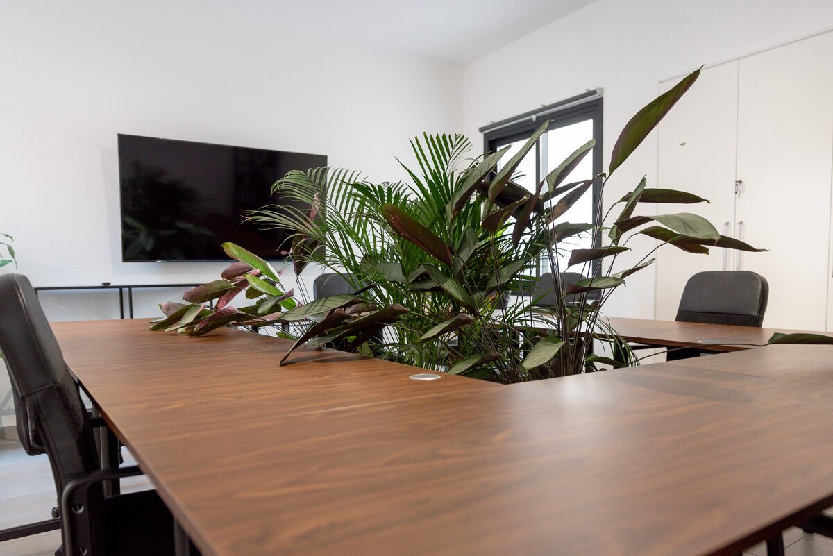 Commercial property in agia-triada, Cyprus [ID: 0602-245479]