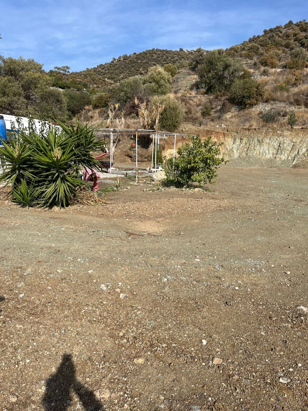 Земля в monagroulli, Кипр [ID: 0602-245735]