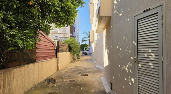 rentable-property в mesa-geitonia, Кипр - изображение 27