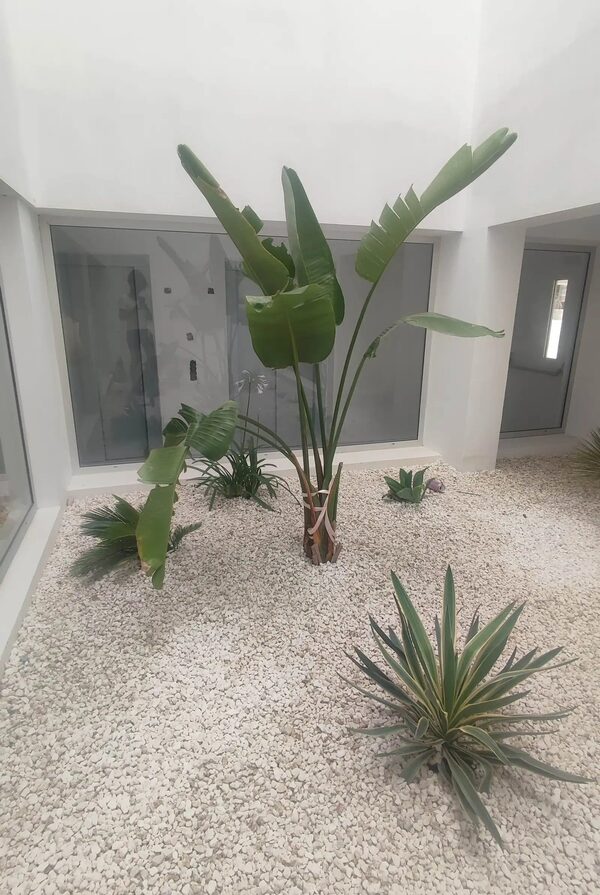Apartament w agios-athanasios, Cypr - obraz 6