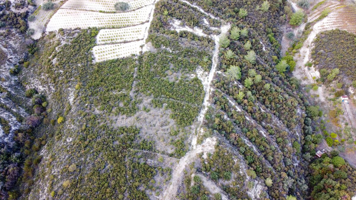 Land in agios-mamas, Cyprus [ID: 0602-246424]