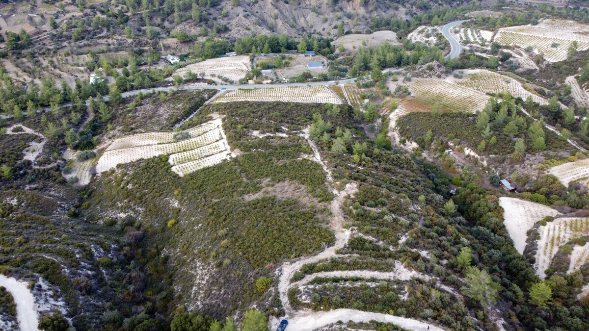Land in agios-mamas, Cyprus [ID: 0602-246424]