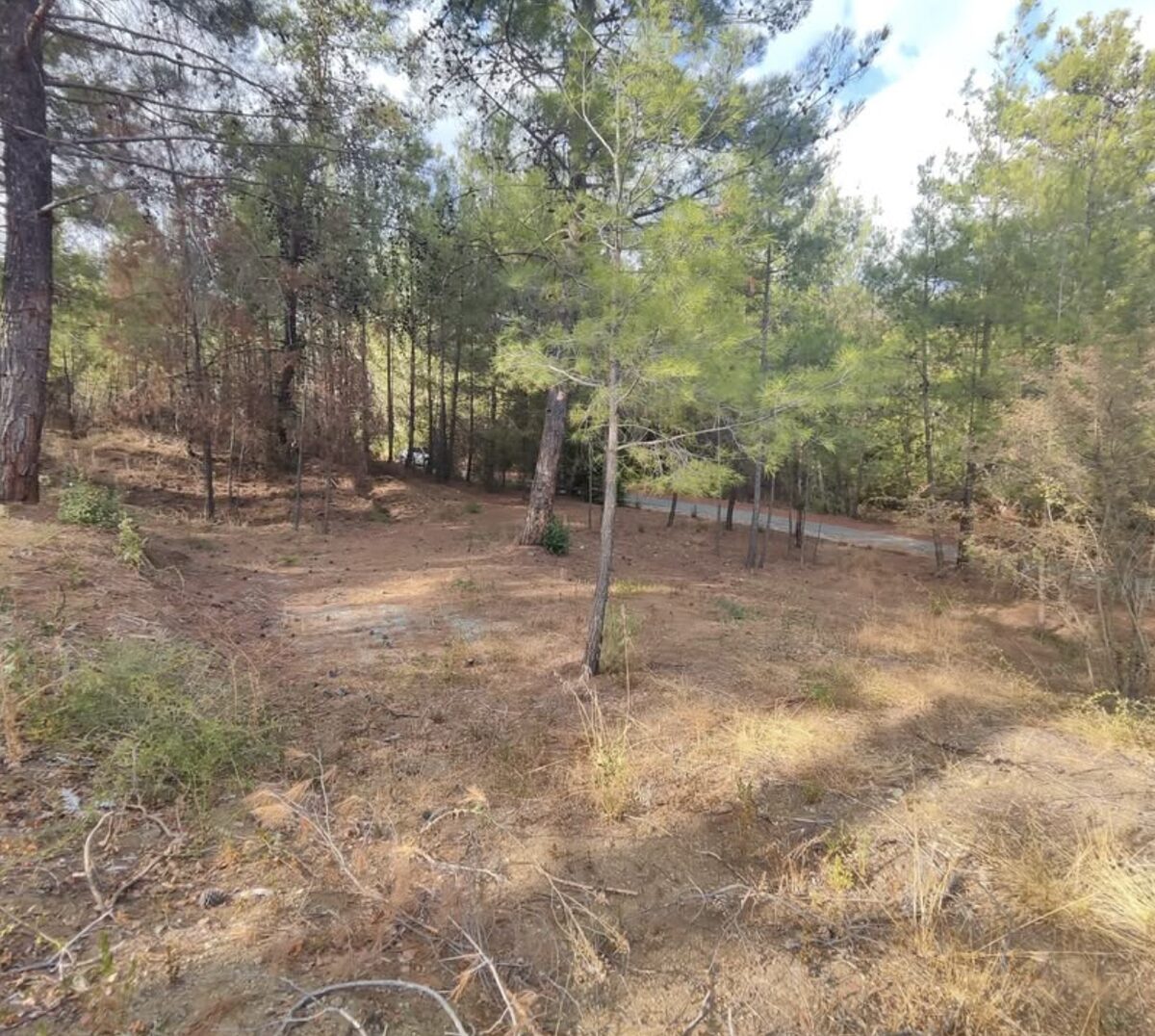 Działka w platres-kato, Cypr [ID: 0602-246813]