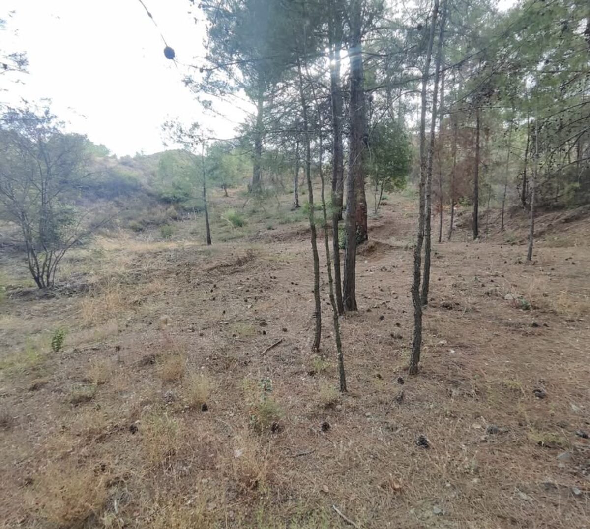 Działka w platres-kato, Cypr [ID: 0602-246813]
