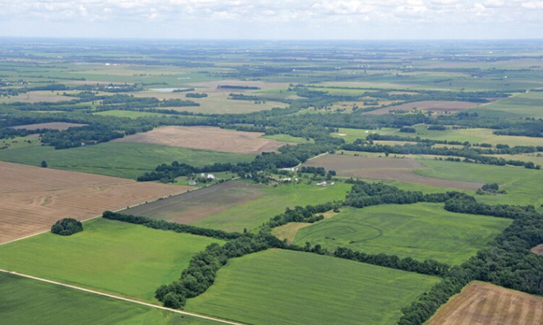 Działka w zakaki, Cypr [ID: 0602-247692]