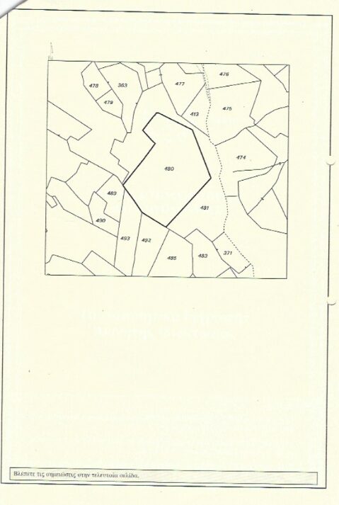 Land in foinikaria, Cyprus [ID: 0602-248734]