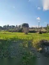 Земля в parekklisia, Кипр [ID: 0602-248739]