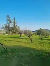 Земля в parekklisia, Кипр [ID: 0602-248739]
