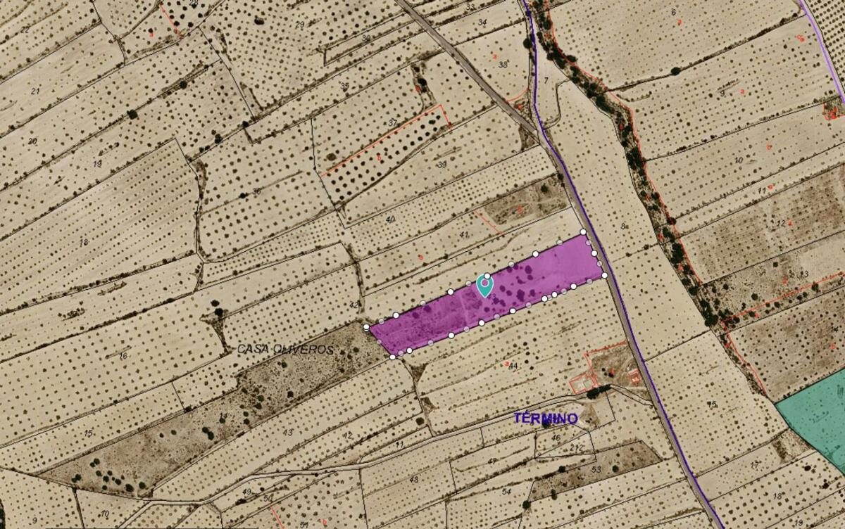 Земля в Пиносо, Испания [ID: 0152-628581]