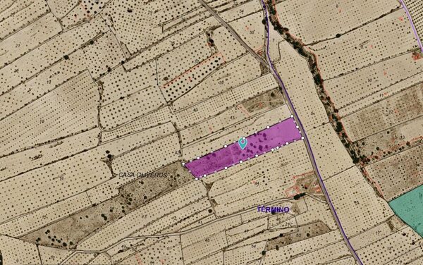 Land in Pinoso, Spain - image 4