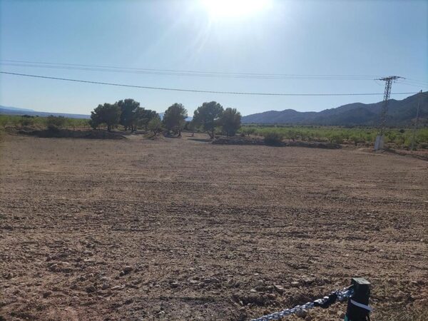 Land in Pinoso, Spain - image 3
