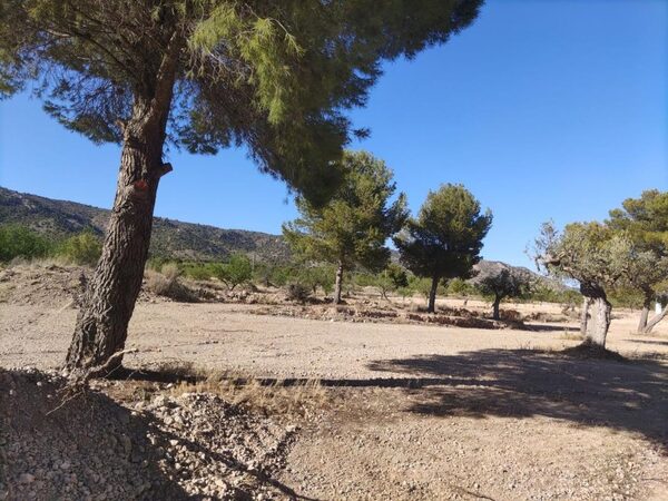 Land in Pinoso, Spain - image 7