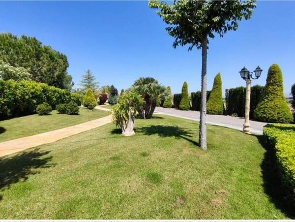 Domy w Aspe, Hiszpania, 669m² - obraz 5