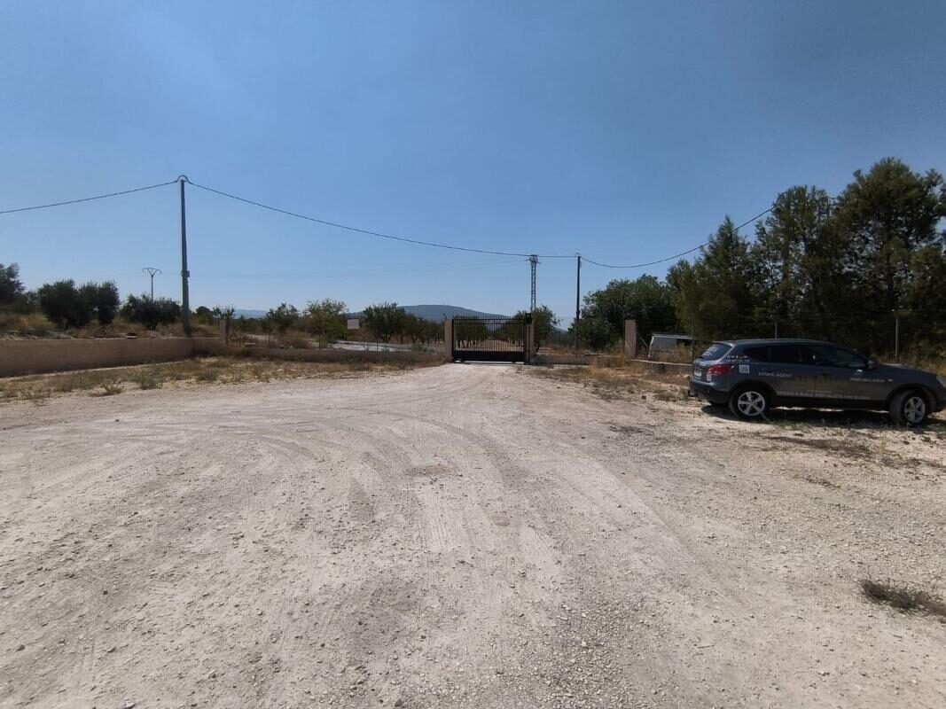 Будинки з 4 спальнями, 150м² в Піносо, Іспанія [ID: 0152-623274]