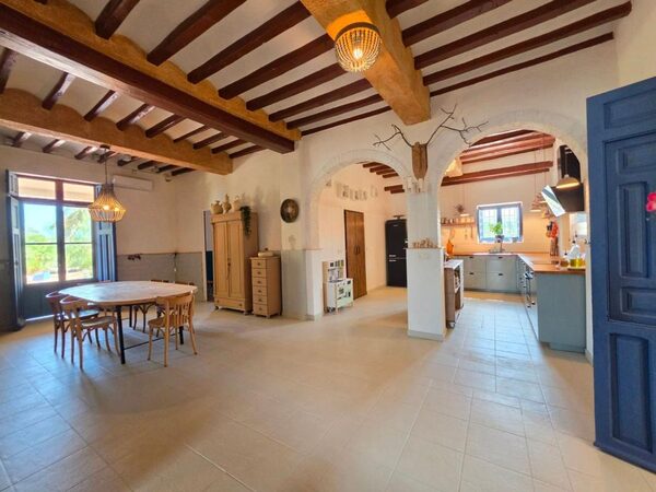 Houses in Elche / Elx, Spain, 738m² - image 18