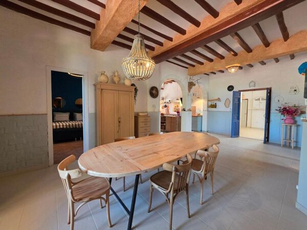 Houses in Elche / Elx, Spain, 738m² - image 15