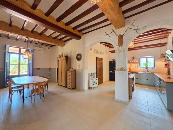Houses in Elche / Elx, Spain, 738m² - image 21