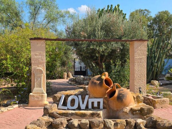 Houses in Elche / Elx, Spain, 738m² - image 6