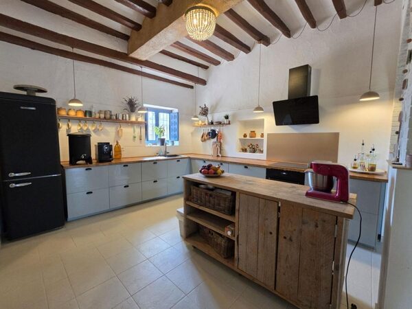 Houses in Elche / Elx, Spain, 738m² - image 12
