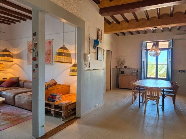 Houses in Elche / Elx, Spain, 738m² - image 22
